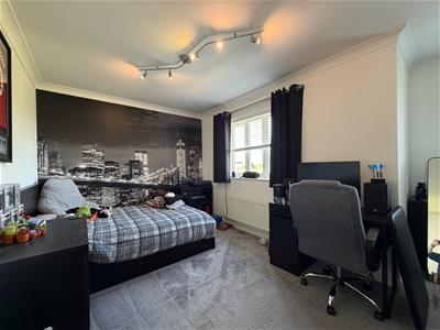 Picture 7